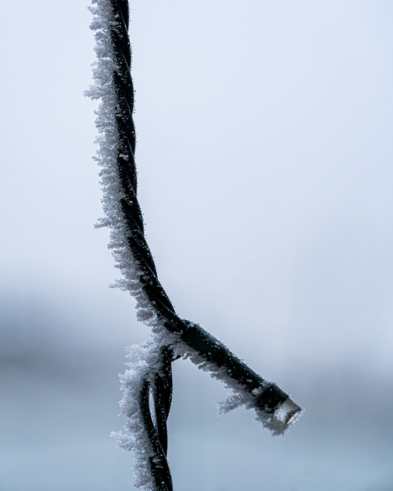 One frosty day